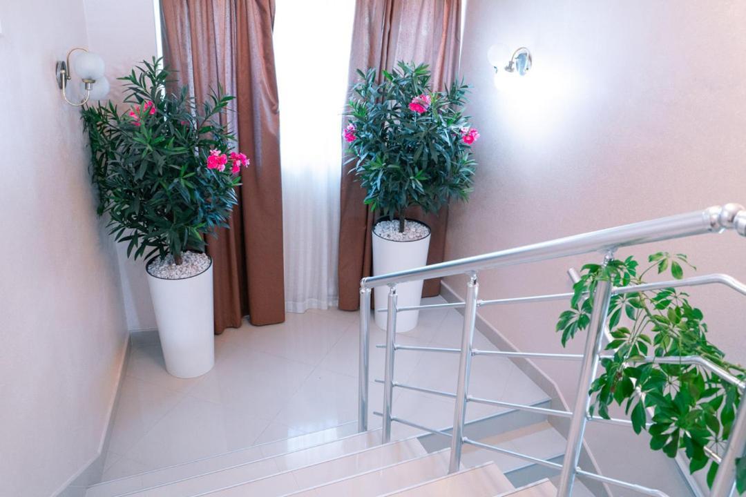 Hotel Zeleni Vir Ni Екстериор снимка